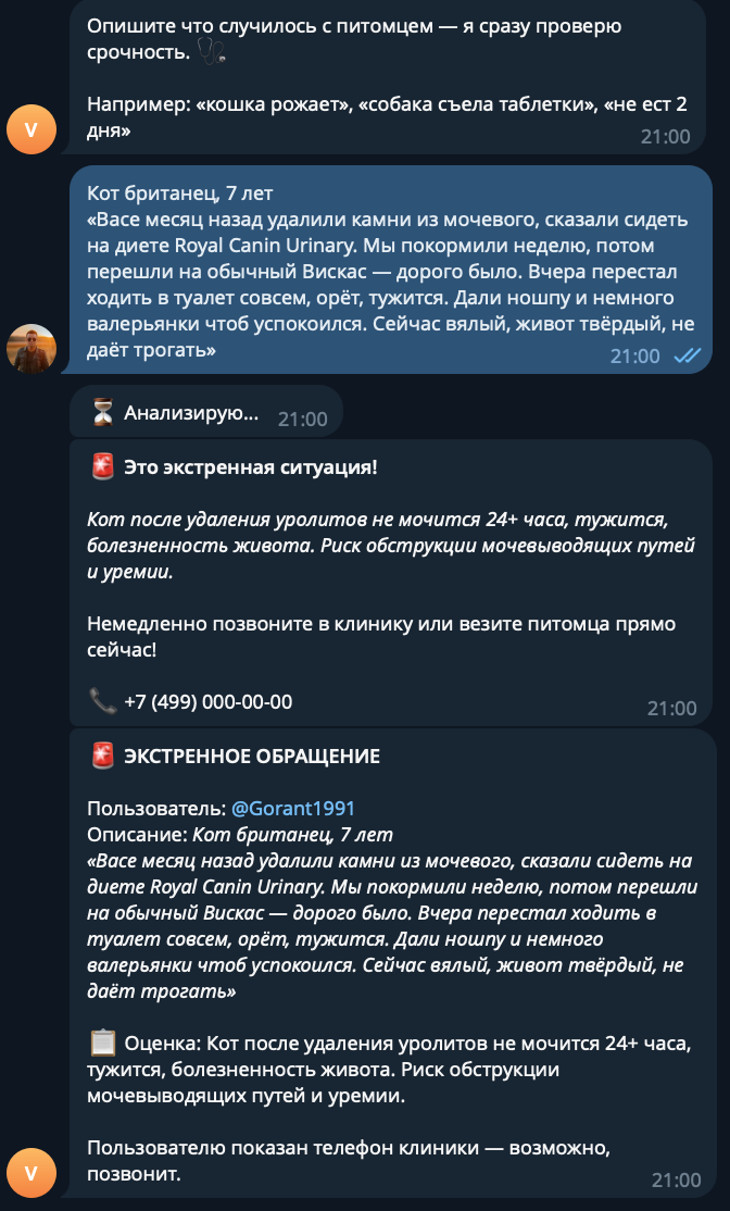 Экстренный случай: бот определил угрозу и дал телефон клиники